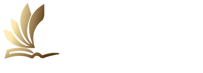 vision language logo