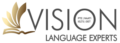 vision language logo